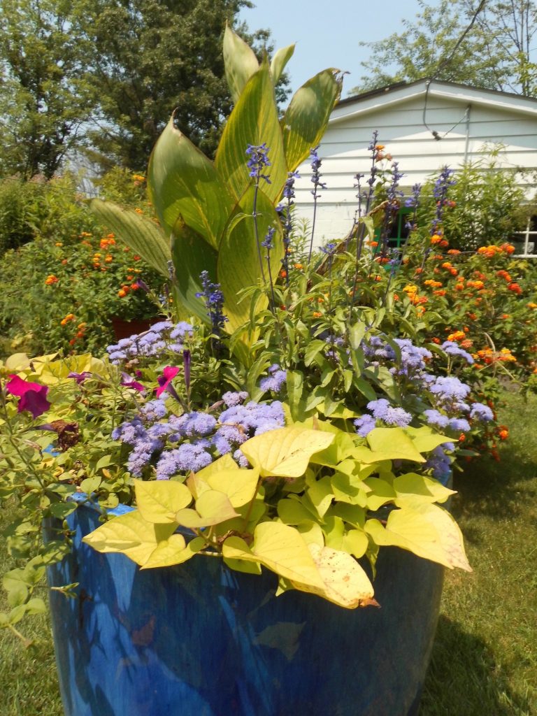 Large decorative flower pot