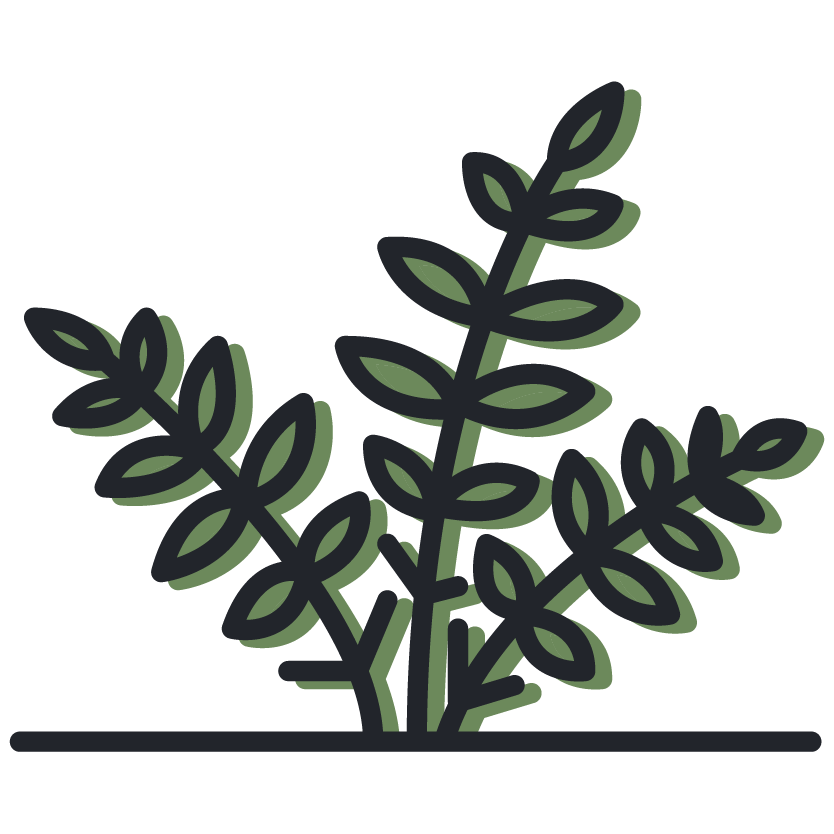 plants & shrubs icon